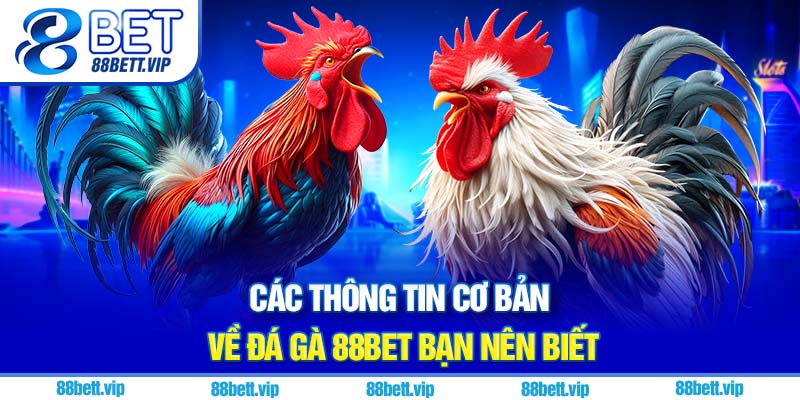 Các thông tin cơ bản về đá gà 88Bet bạn nên biết