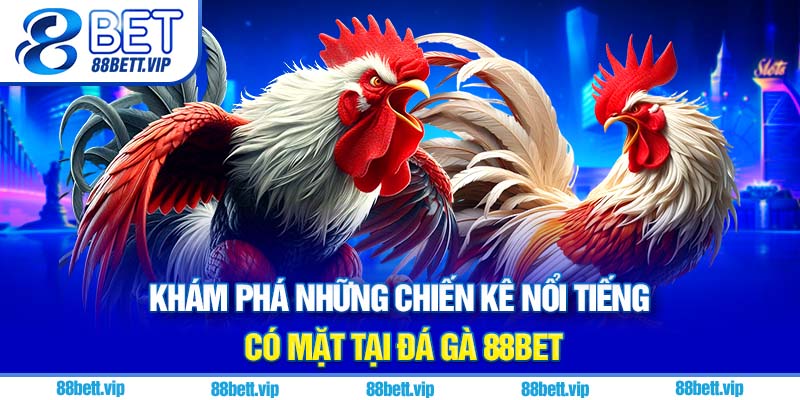 Khám phá những chiến kê nổi tiếng có mặt tại đá gà 88Bet